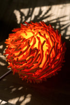 Rode Koraal organische design tafellamp met warm licht en bijzonder schaduwspel.