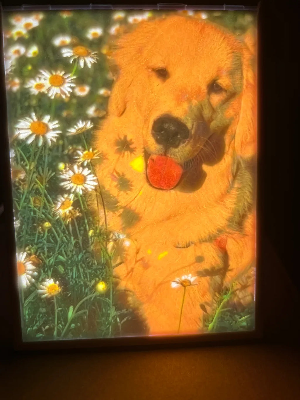 Verlichte lithophane fotolamp met kleurrijke foto van een hond tussen witte bloemen.